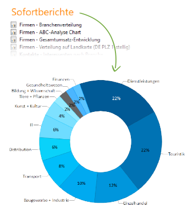 Sofortberichte auf Knopfdruck. Ringdiagramm.